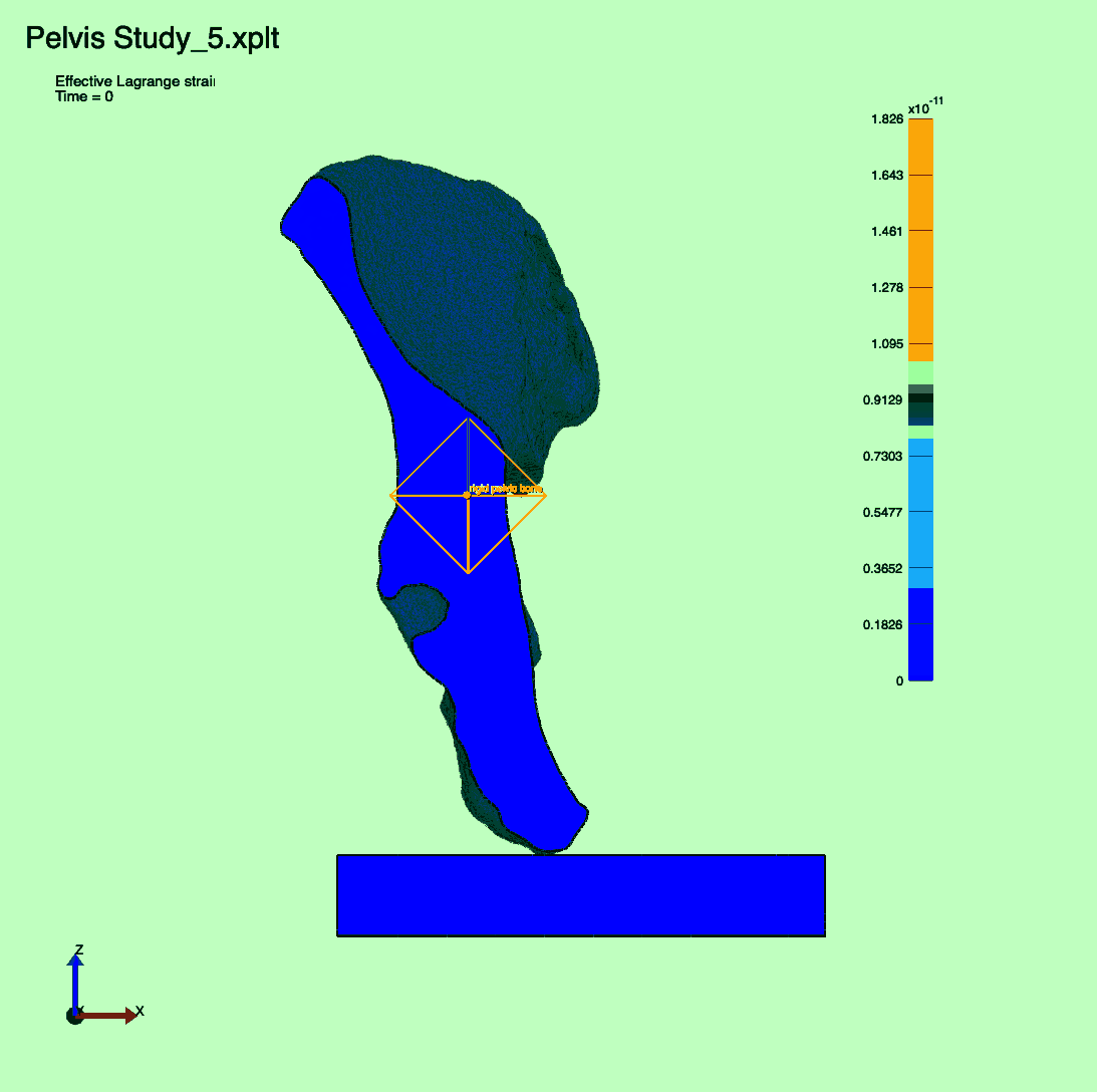Effective Lagrange Strain distribution